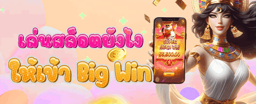 ฟรีสปินสุดระทึกจากค่ายดัง promotion banner